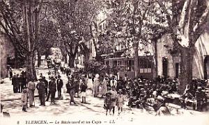 Tlemcen 213 